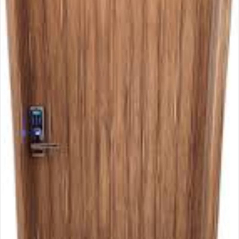 Laminated and veneer Designer Door