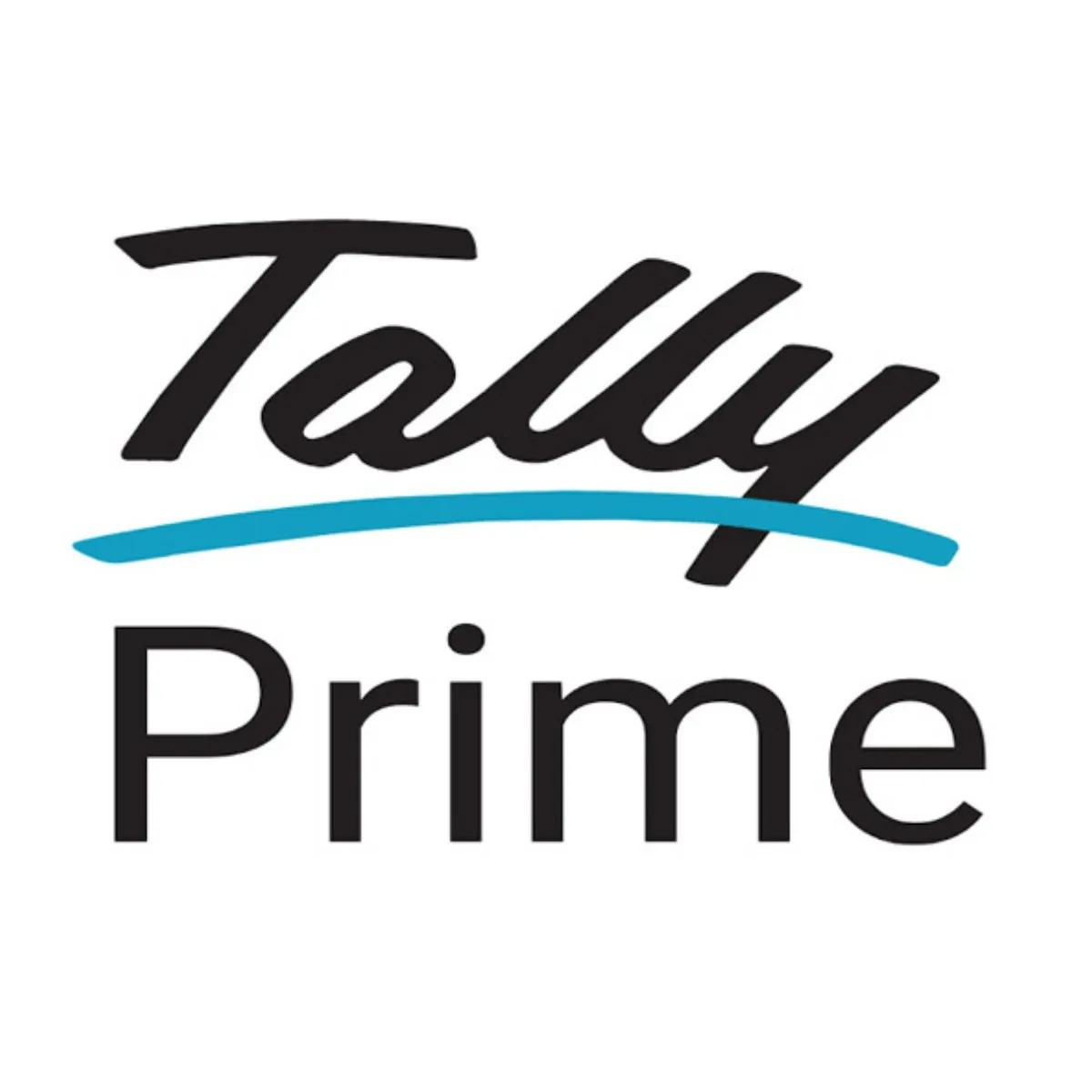 TALLY ACCOUNTING SOFTWARE
